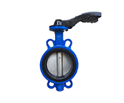 Van bi Inox DN20 (mẫu)