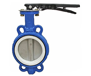 Van bi Inox DN20 (mẫu)